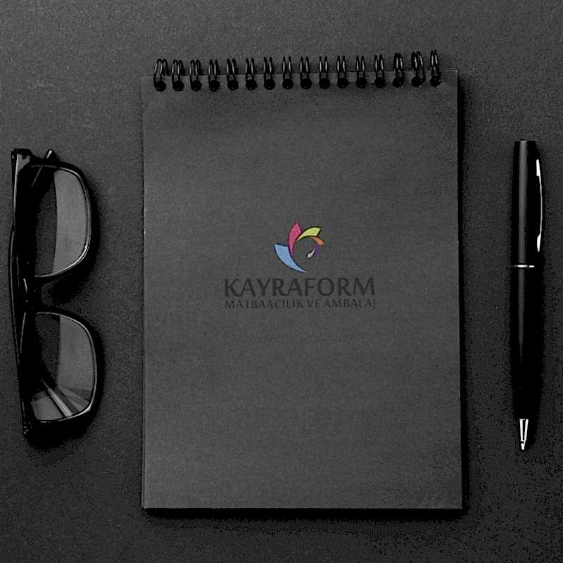 Tarihsiz Ajanda, Tarihsiz Defter