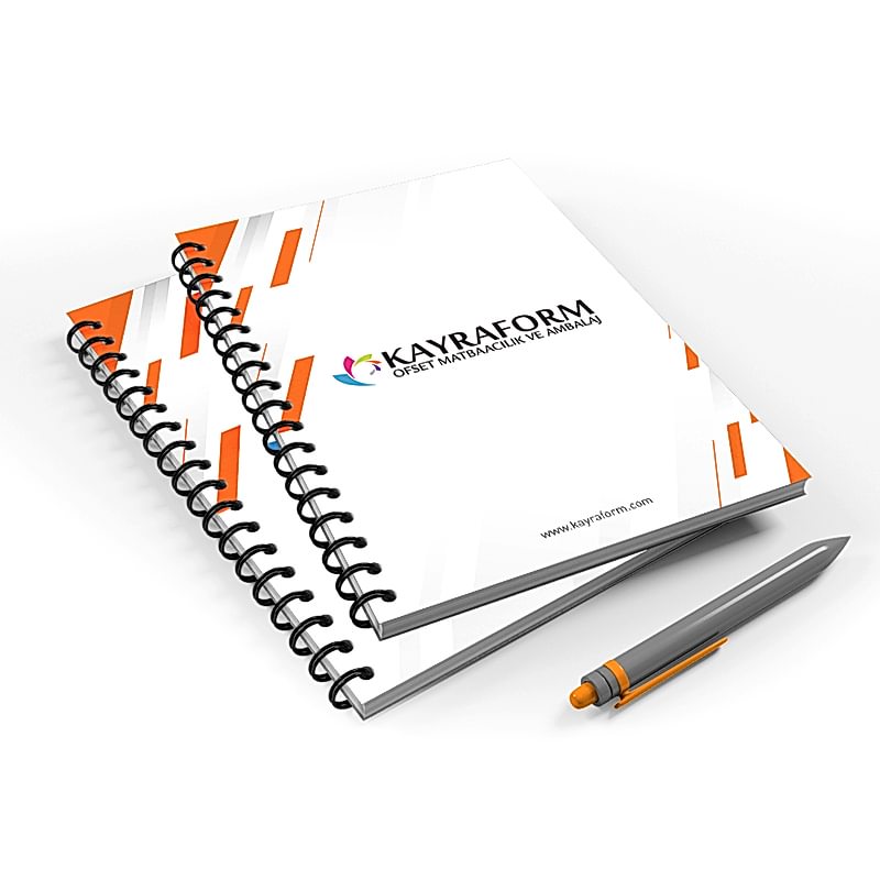 Tarihsiz Ajanda, Tarihsiz Defter