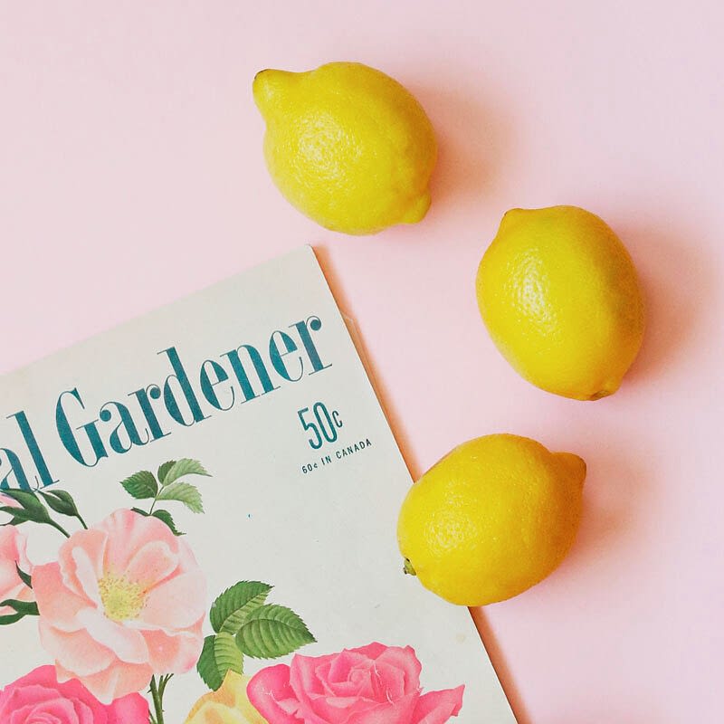 Sektörel Dergi Basımı